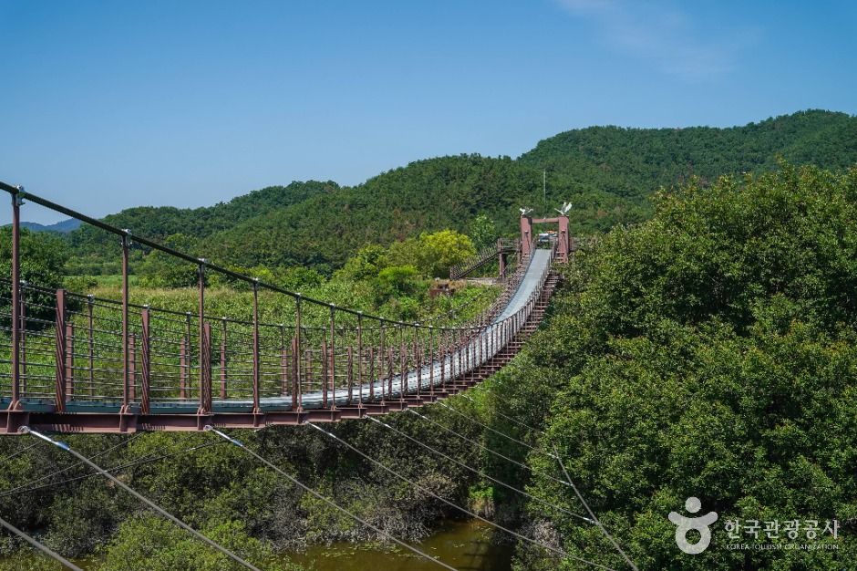 Upo Suspension Bridge