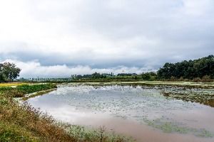 부여 산직지 사진 4