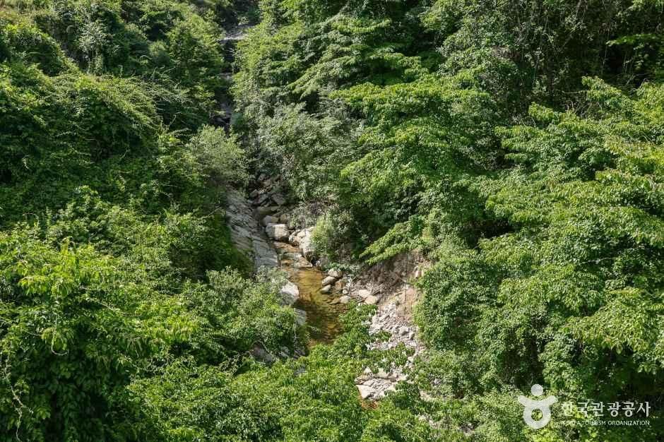 대구_군위_동산계곡 (7).JPG