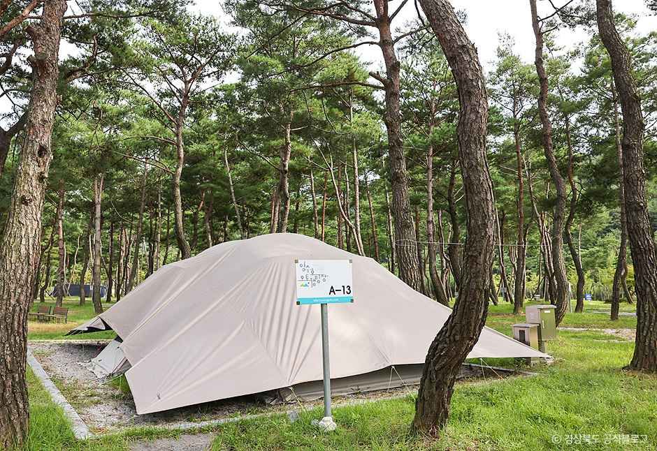 영주_ 영주호오토캠핑장 (5).jpg