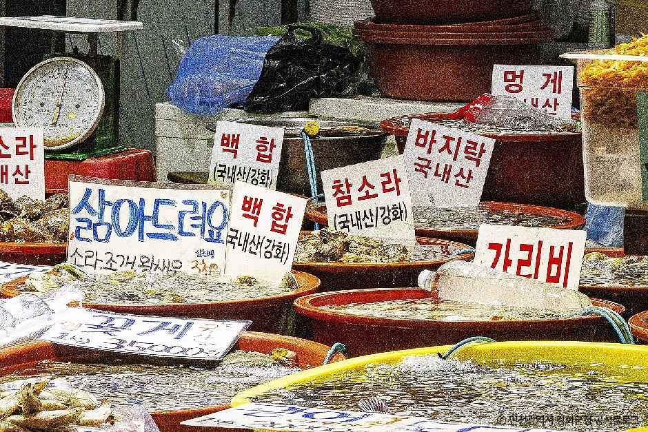 외포항 젓갈 수산물직판장