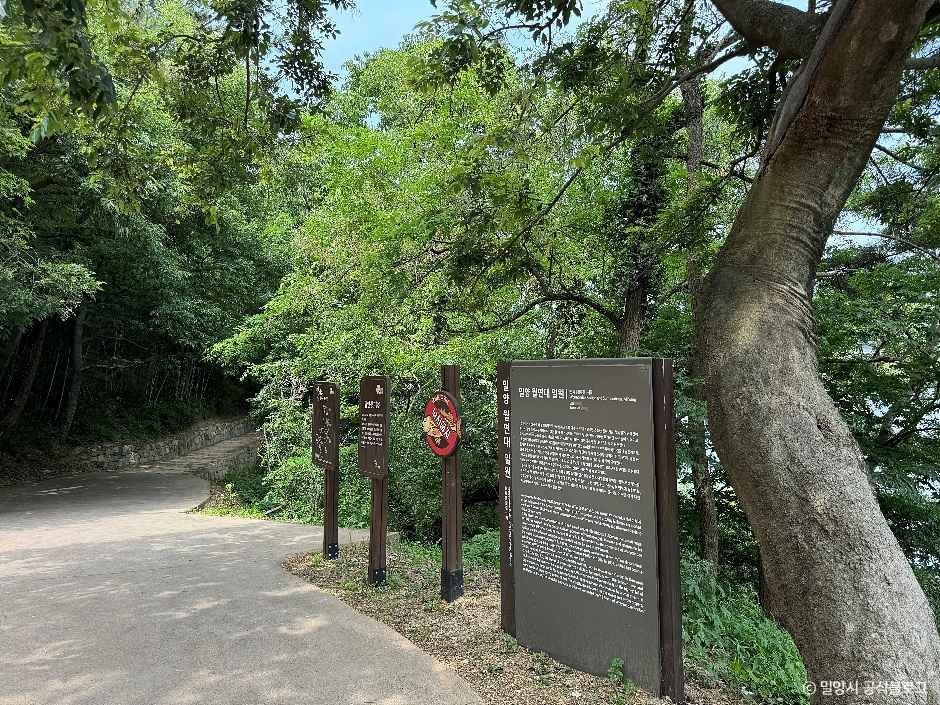 [밀양아리랑길 3코스] 금시당길