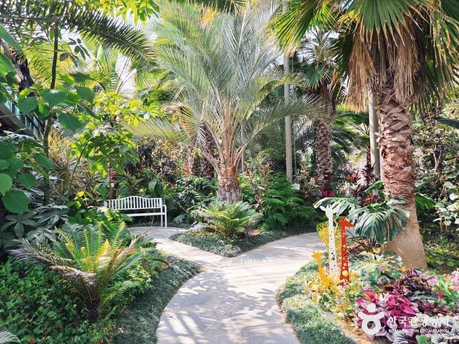 강릉 솔향수목원