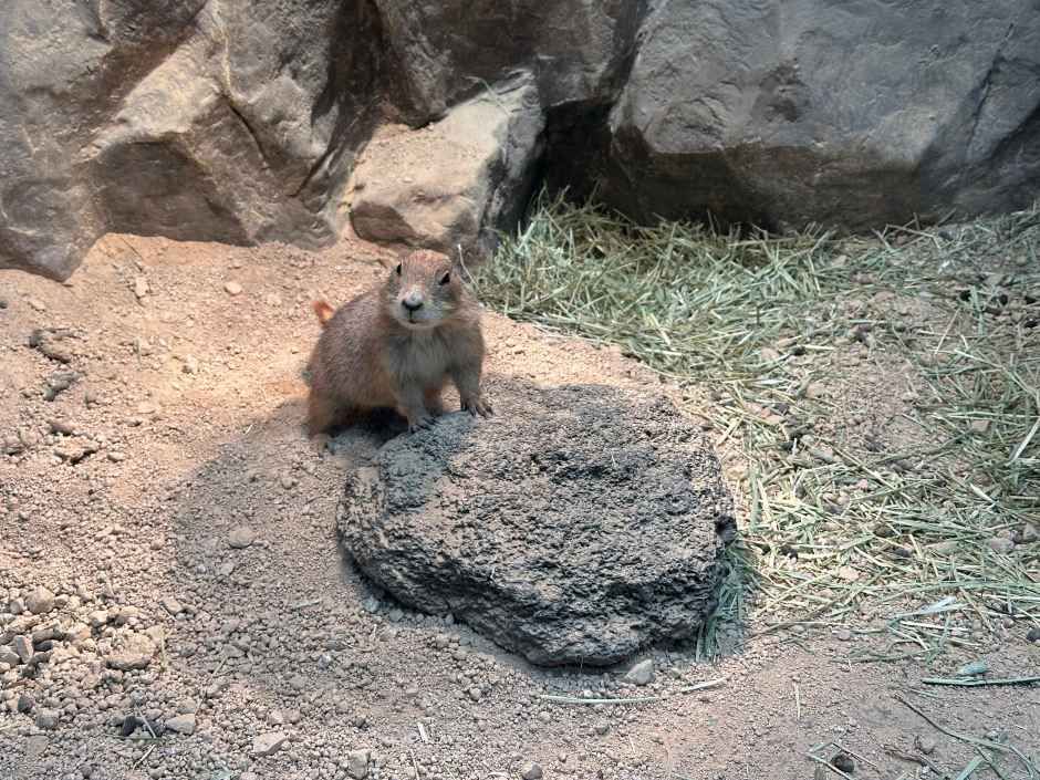 울산_와글와글 동물원 (5).jpg