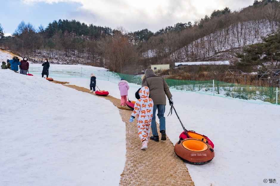 평창_대관령 눈꽃마을 (2).jpg