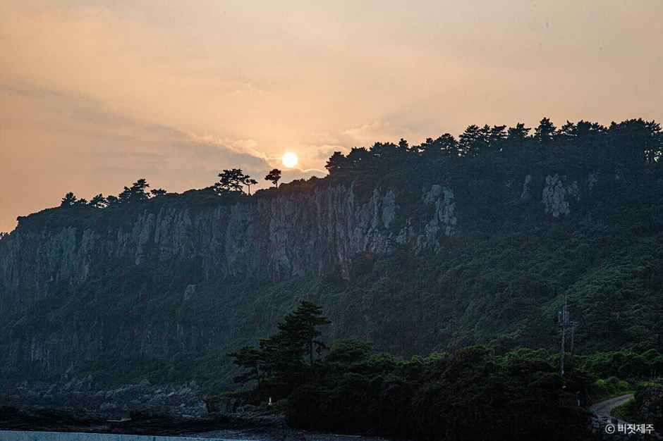 박수기정