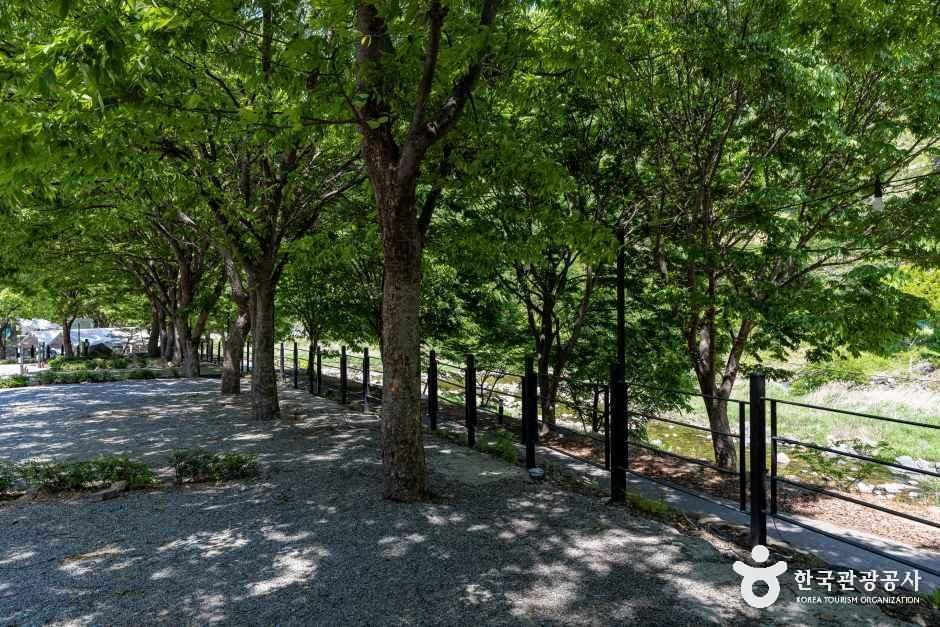 엘림펜션오토캠핑장