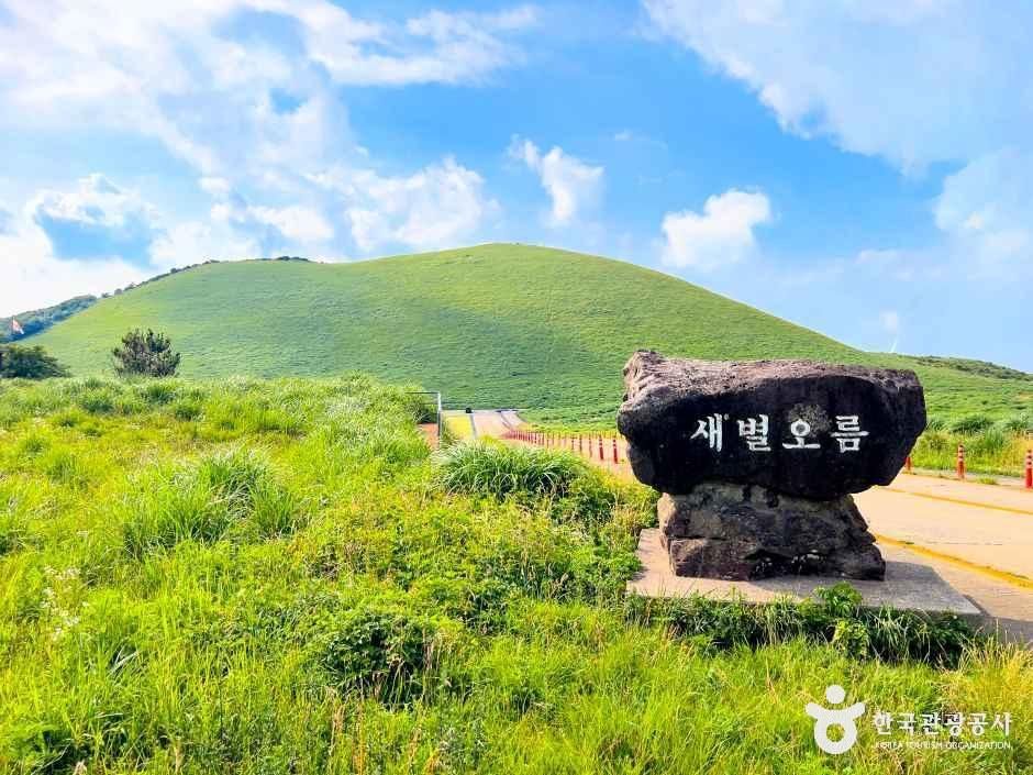 새별오름 - 제주특별자치도 제주시 애월읍 봉성리 산 59-8 관광 명소