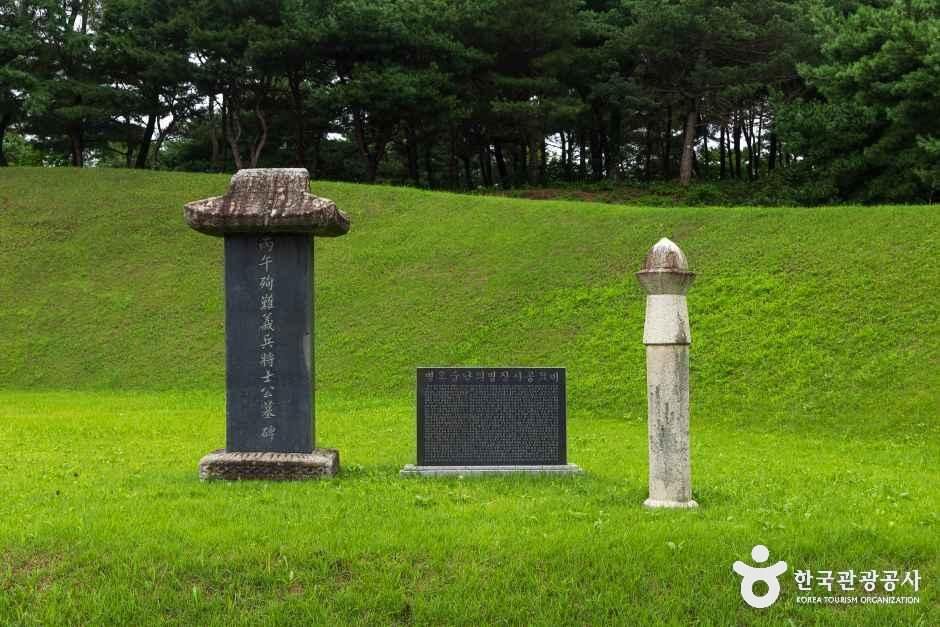 홍성 홍주의사총
