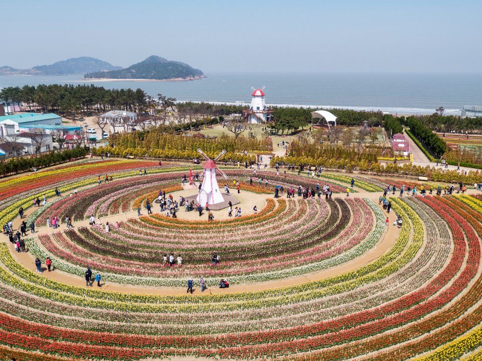 신안튤립공원