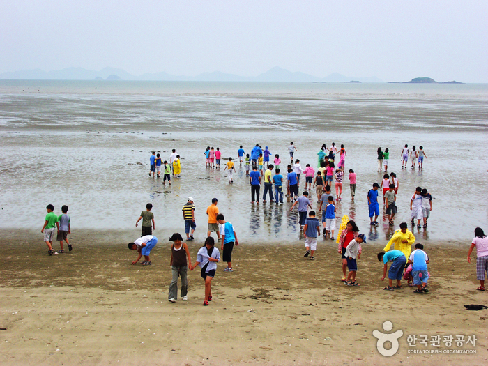 동호해변(양양) 동호해변(양양)