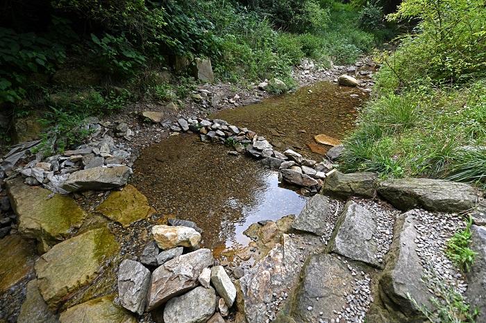 A creek in a small valley
