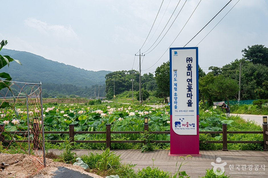 蔚味蓮の村