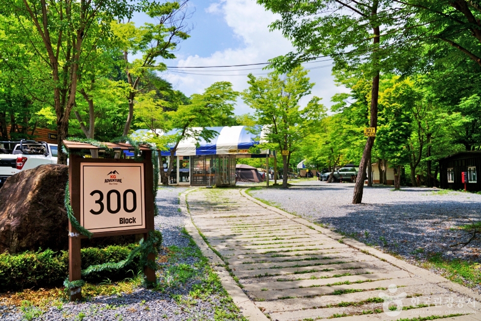 ドラゴンオートキャンプ場