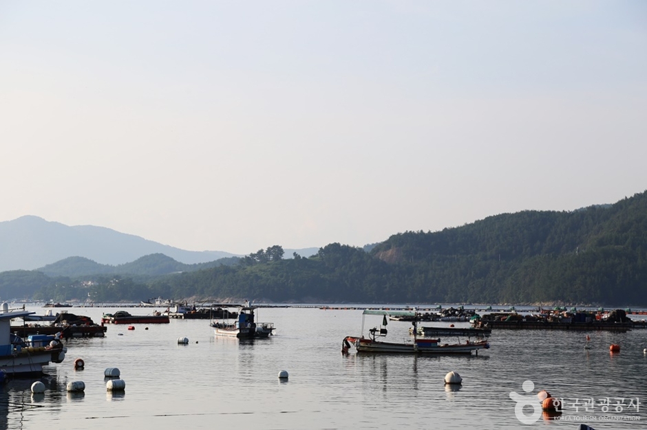 南海锦川滩涂体验场