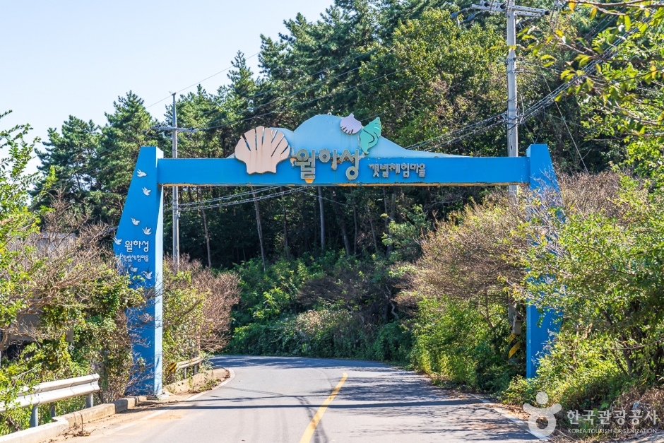 Wolhaseong Fishing Experience Village
