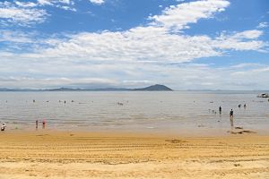 율포해수욕장(솔밭해변)