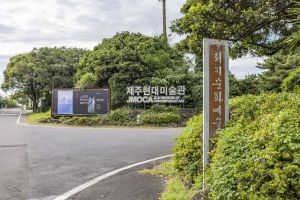 저지문화예술인마을