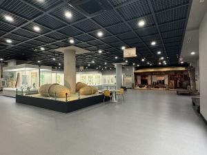 Chonnam National University Museum (전남대학교 박물관)