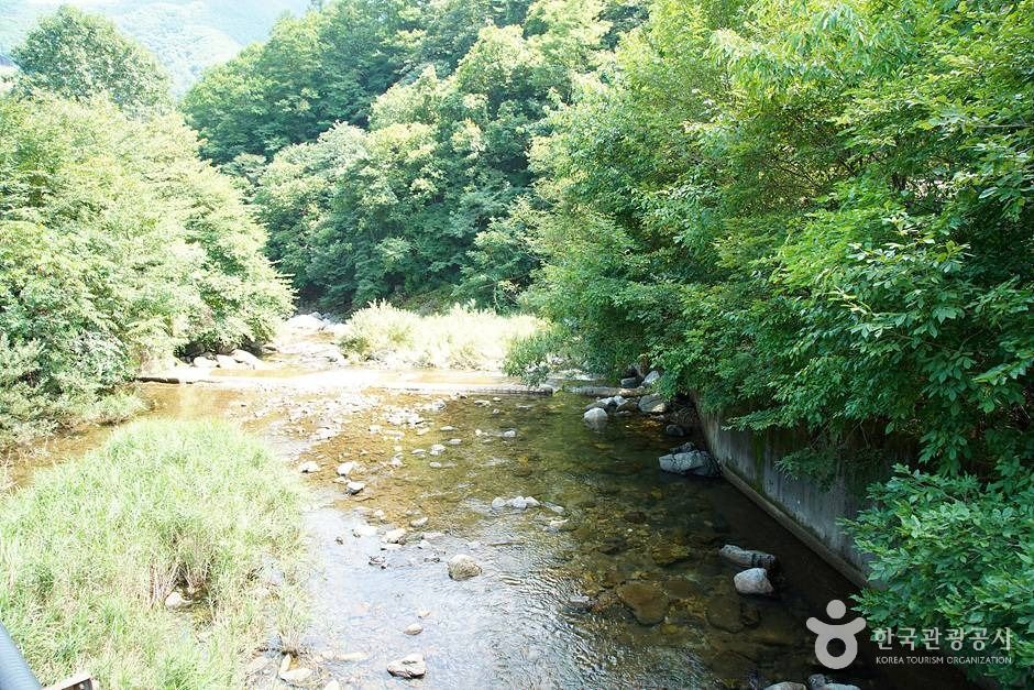 芝岩渓谷