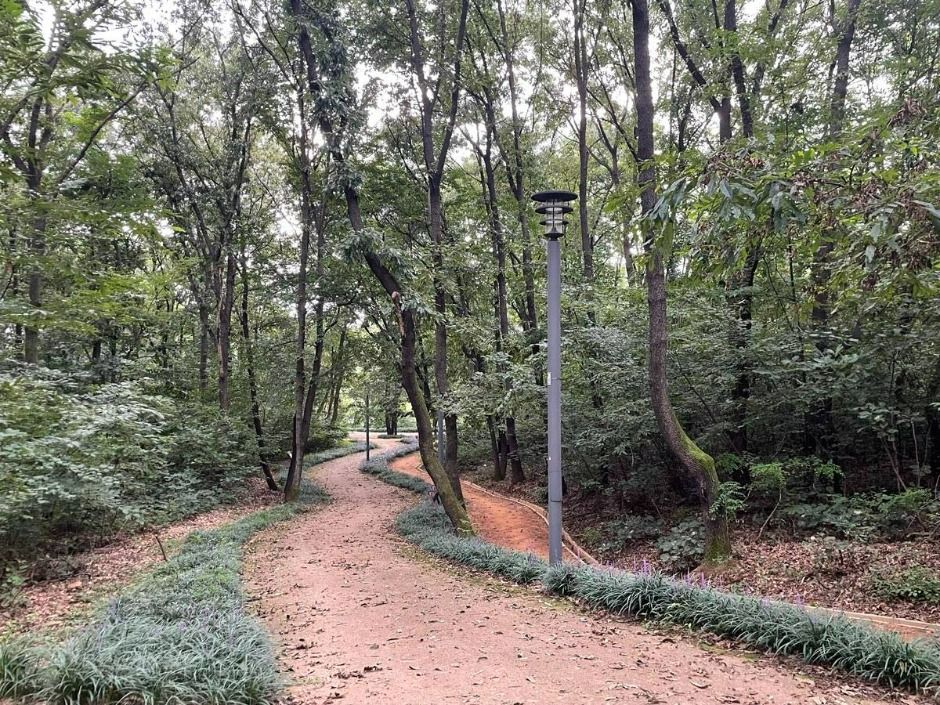 セアム公園