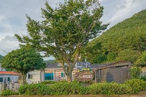 청광새들녘마을