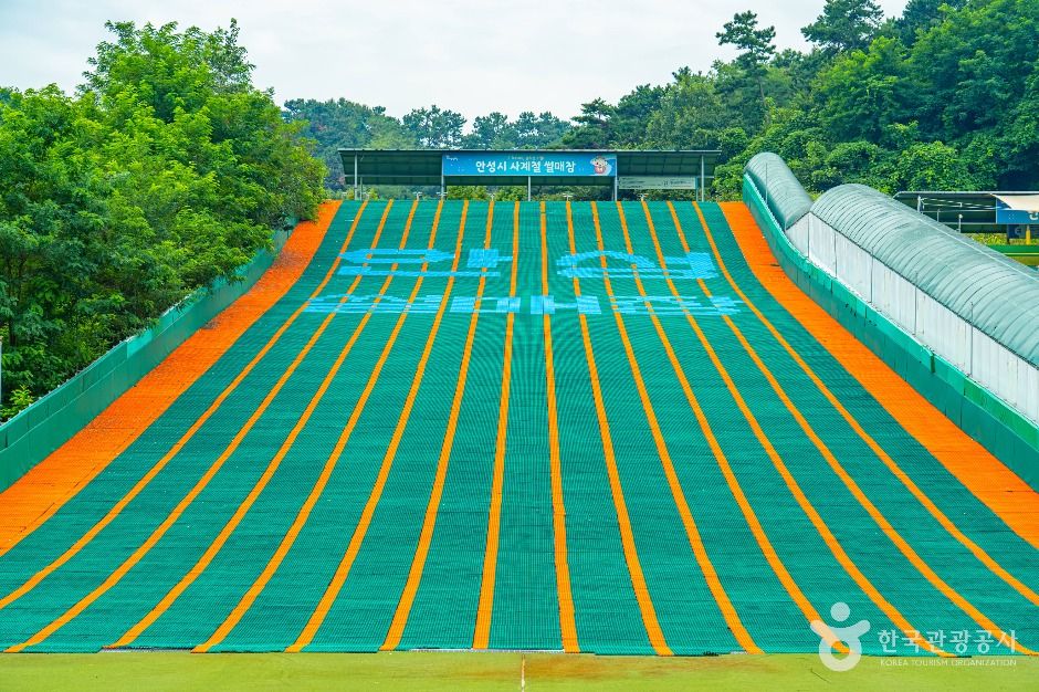 安城 四季節そり場