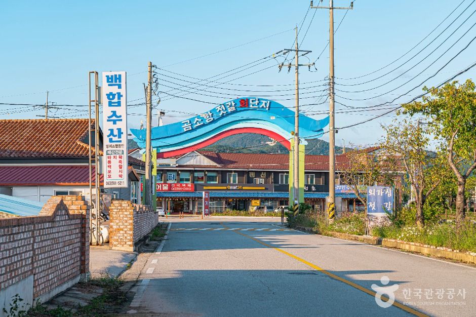 コムソ塩辛団地