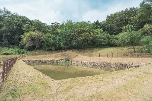 3566829 image3 1 예스키즈존 탐험대 : 실패 없는 육아여행