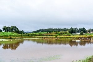 부여 산직지 사진 5