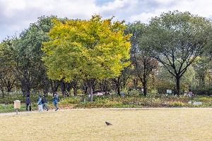 서울창포원