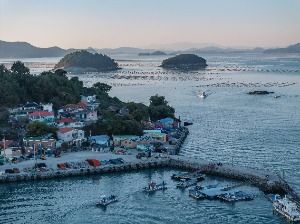 죽도(고흥)