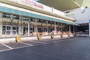 서울_강서농산물도매시장 (8)