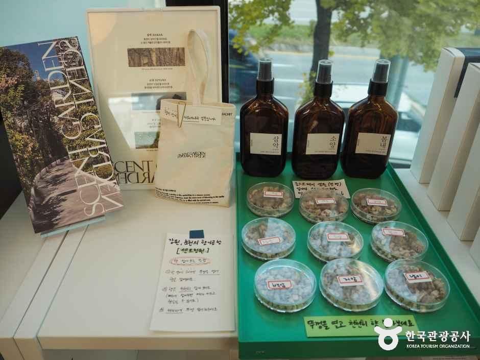 춘천_304아일랜드 (2).jpg