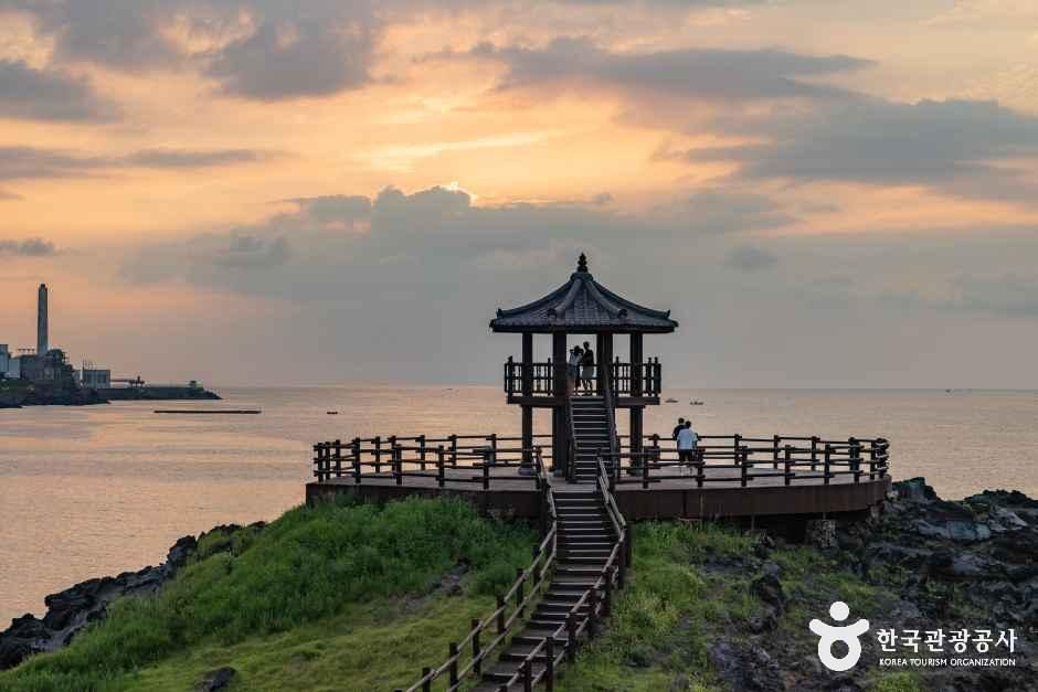 제주_닭머르해안길 (5).jpg