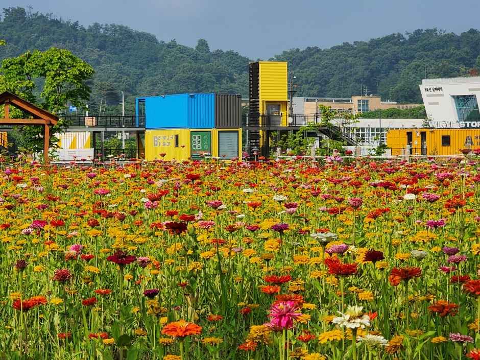 성남_위례스토리박스 (4).jpg