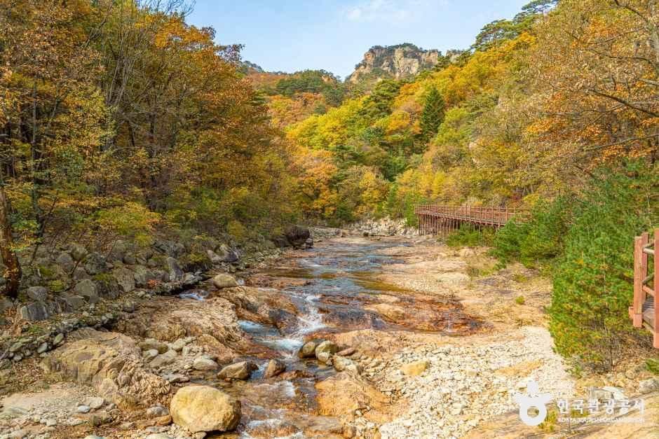 양양_설악산 오색주전골 (6).jpg