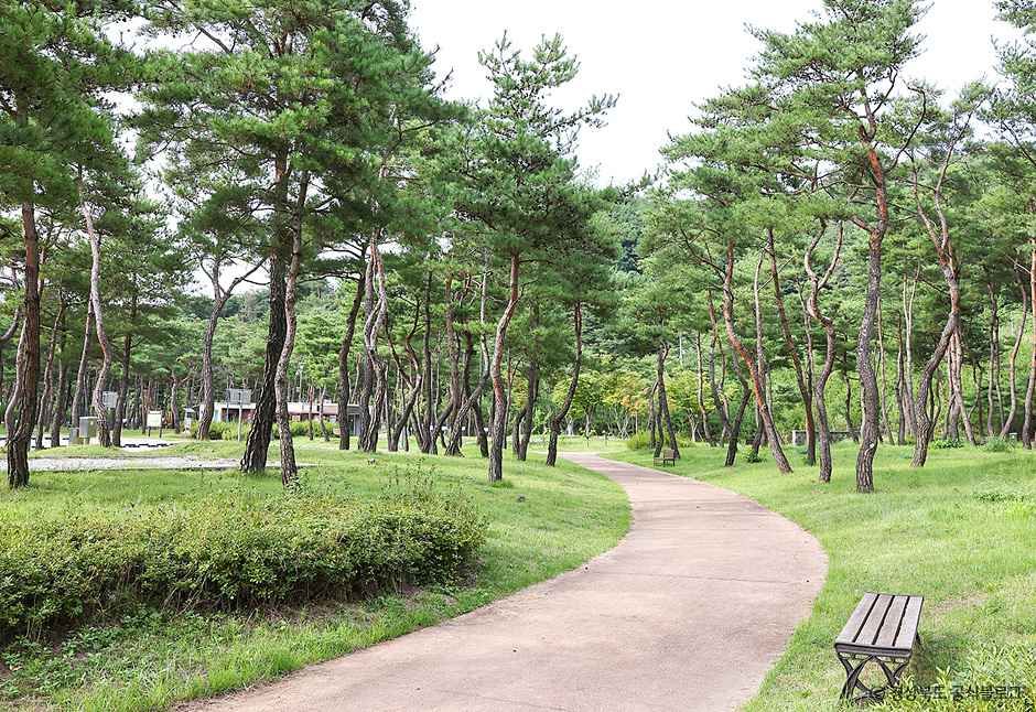 영주_ 영주호오토캠핑장 (6).jpg