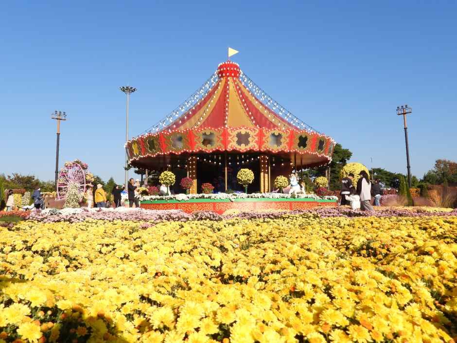 Koreanisches Chrysanthemenfestival (대한민국 국향대전)
