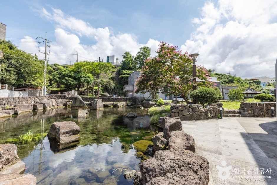 제주_제주물사랑홍보관 (1).jpg