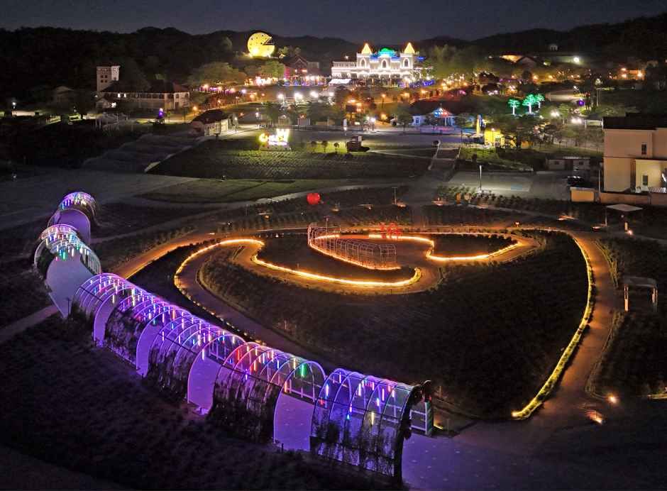 2026 임실N장미축제 4