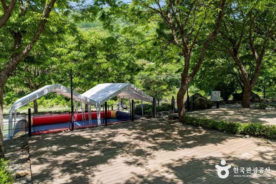 엘림펜션오토캠핑장