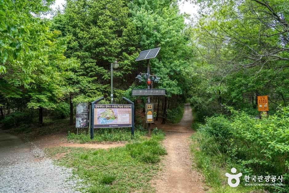 건지산