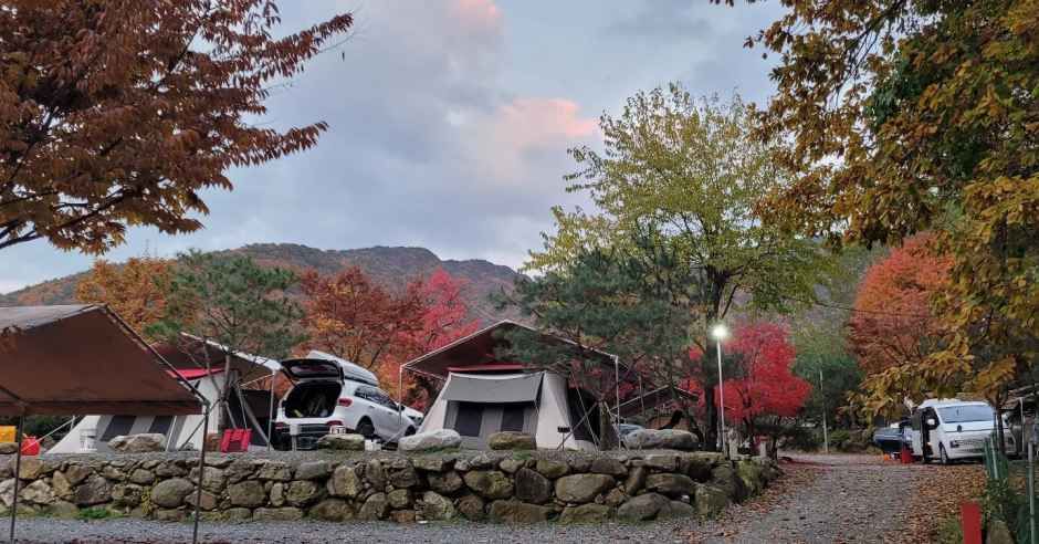 원주_치악산한다리골캠핑장 (1).jpg