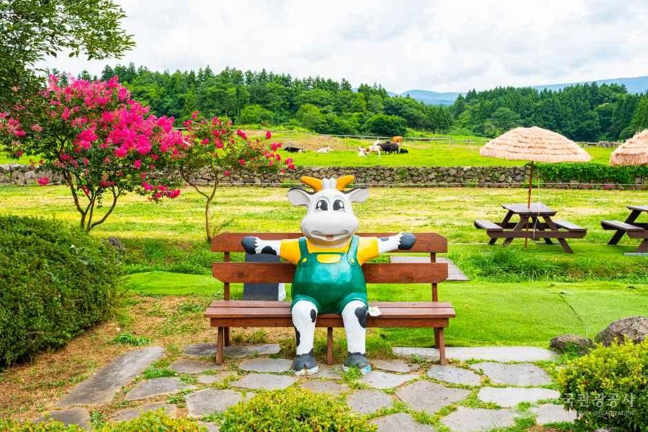 아침미소목장