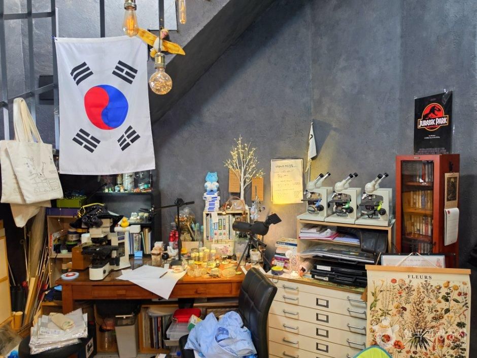 동주 책방