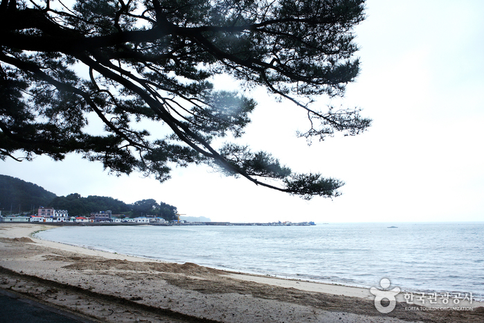 명사해수욕장 명사해수욕장