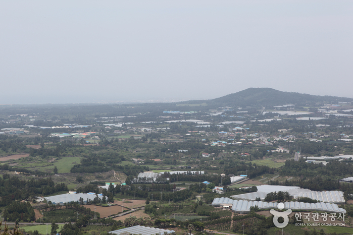 저지오름(닥몰오름,새오름)