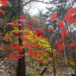 설악산국립공원 대청봉코스(오색)&대청봉코스(한계령) 6