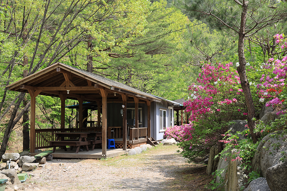 Kkumkkuneun Valley Pension